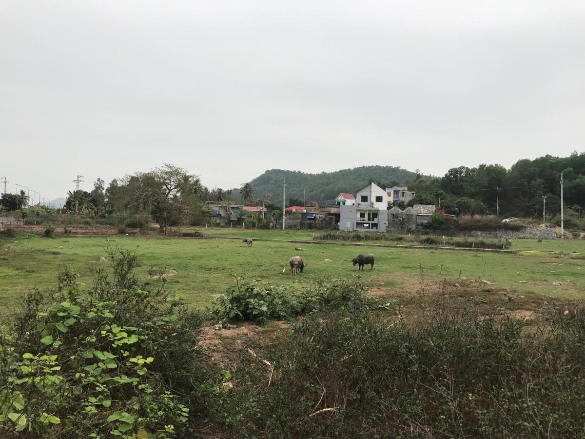 Bee Lucky Homestay Xuan Dam Dış mekan fotoğraf