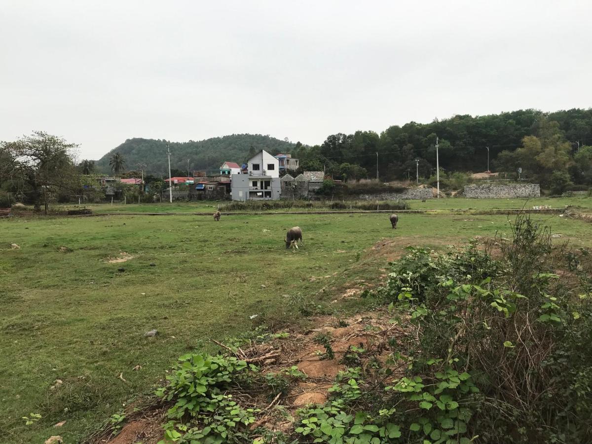 Bee Lucky Homestay Xuan Dam Dış mekan fotoğraf